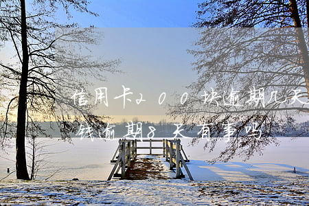 信用卡200块逾期几天(信用卡100多块钱逾期8天有事吗)