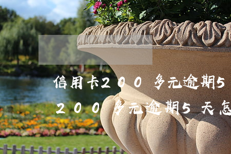 信用卡200多元逾期5天怎么辦-信用卡200多元逾期5天怎么辦理