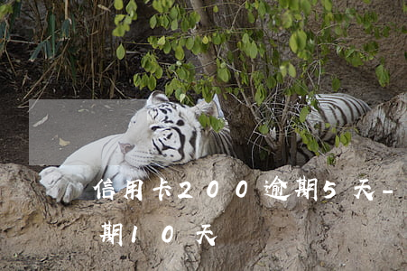 信用卡200逾期5天-信用卡200元逾期10天