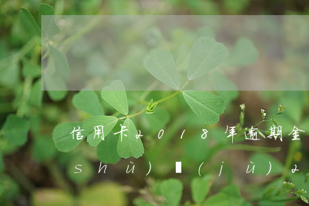 信用卡2018年逾期金額(信用卡逾期數(shù)據(jù)2020)