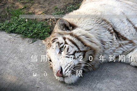 信用卡2020年到期（信用卡利息超過(guò)年限）