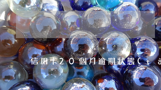 信用卡20個月逾期狀態(tài)