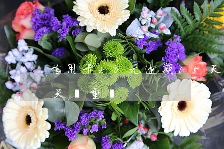 信用卡20元逾期15天(信用卡逾期20多天嚴重嗎)