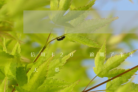 信用卡20塊逾期了半年(信用卡逾期20多天嚴重嗎)