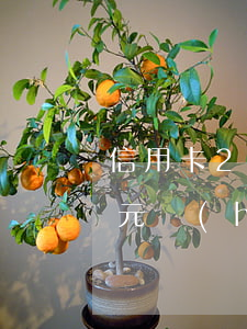 信用卡20塊逾期利息(欠信用卡逾期20萬元會(huì)的被判刑嗎)