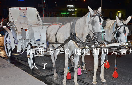 信用卡20塊逾期四天(信用卡20塊逾期四天了)