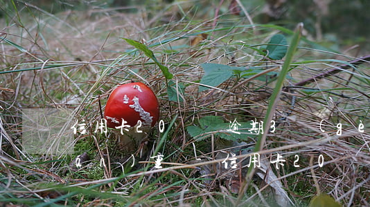信用卡20塊錢逾期3個(gè)月嚴(yán)重嗎-信用卡20塊錢逾期3個(gè)月嚴(yán)重嗎怎么辦