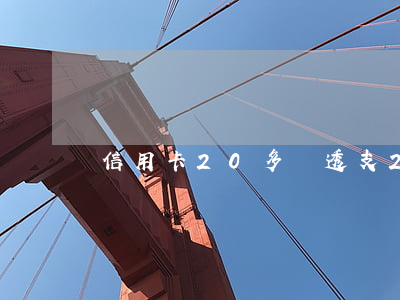 信用卡20多萬（透支20萬信用卡利息）