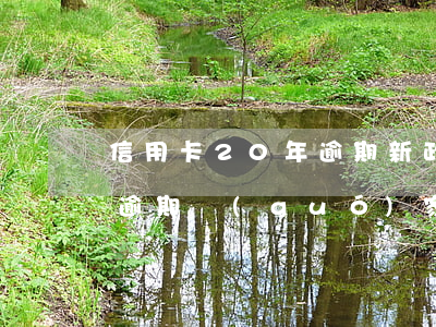 信用卡20年逾期新政策(2020年信用卡逾期國(guó)家政策)
