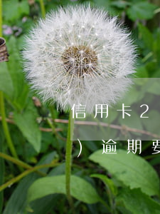 信用卡20期逾期-信用卡20萬(wàn)逾期要判多久