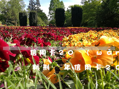 信用卡20萬(wàn)不還會(huì)判刑幾年（信用卡20萬(wàn)逾期判刑）