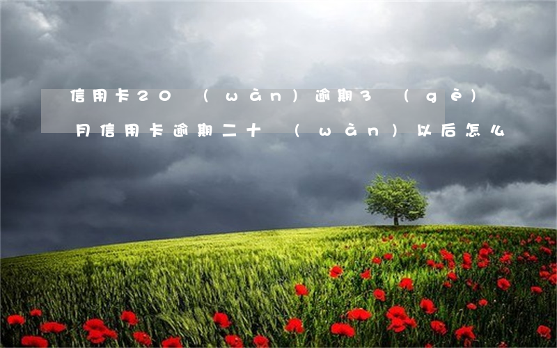 信用卡20萬(wàn)逾期3個(gè)月(信用卡逾期二十萬(wàn)以后怎么辦)