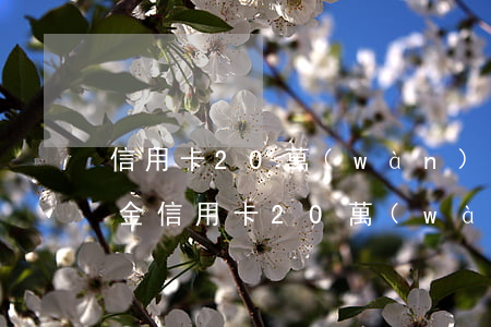 信用卡20萬(wàn)逾期一天多少違約金(信用卡20萬(wàn)逾期一天多少違約金呢)