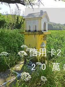 信用卡20萬(wàn)逾期兩年-信用卡20萬(wàn)逾期兩年利息多少