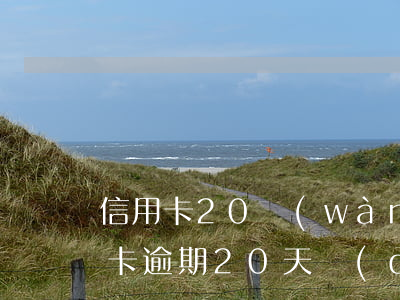 信用卡20萬(wàn)逾期要判多久（信用卡逾期20天對(duì)信用影響）