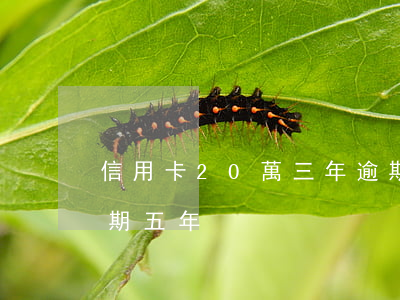 信用卡20萬三年逾期費用(三十萬信用卡逾期五年)
