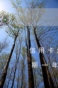信用卡20萬元逾期一年 信用卡20萬元逾期一年多