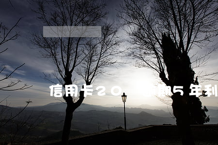 信用卡20萬逾期5年利息多少-
