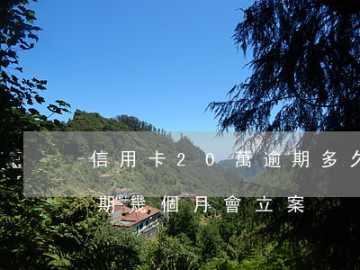 信用卡20萬逾期多久可以立案(欠信用卡逾期幾個月會立案)