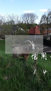 信用卡22000逾期多久會被起訴(信用卡14000逾期三個月會不會被起訴)