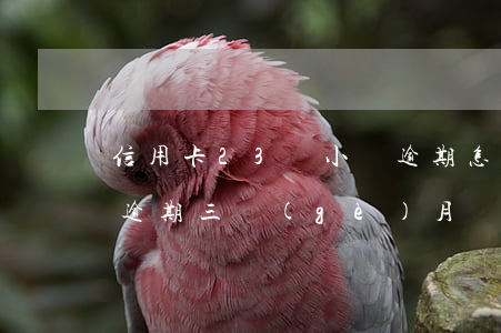 信用卡23萬小貸逾期怎么辦(欠信用卡3萬逾期三個(gè)月)