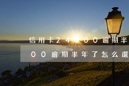 信用卡24000逾期半年了(信用卡24000逾期半年了怎么還)