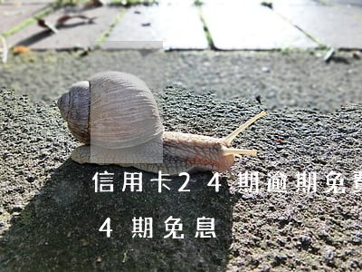 信用卡24期逾期免費(fèi)(信用卡24期免息)