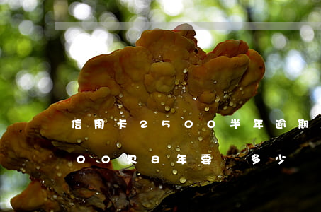 信用卡2500半年逾期怎么辦(信用卡2500欠8年要還多少)
