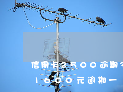 信用卡2500逾期3個(gè)月(信用卡1600元逾期一個(gè)月)