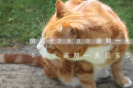 信用卡2500逾期一天罰多少-信用卡2500逾期一天罰多少錢啊