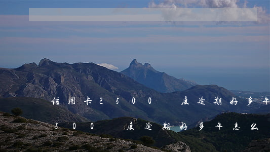 信用卡2500額度逾期好多年-信用卡2500額度逾期好多年怎么辦