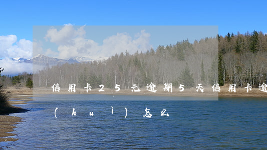 信用卡25元逾期5天(信用卡逾期25天會(huì)怎么樣)