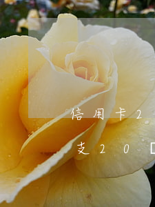 信用卡25萬(wàn)不還后果(信用卡透支20萬(wàn)不還的后果)