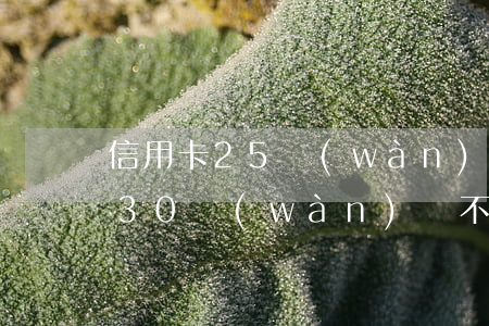 信用卡25萬(wàn)不還怎么辦(信用卡30萬(wàn)還不了怎么辦)