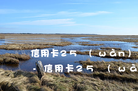 信用卡25萬(wàn)逾期500多天了-信用卡25萬(wàn)逾期500多天了怎么辦