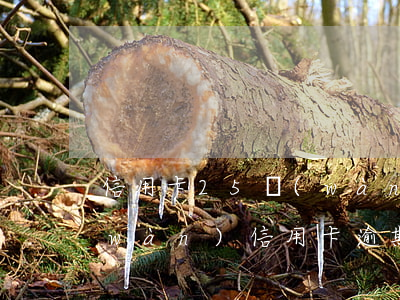 信用卡25萬(wàn)逾期五年(三十萬(wàn)信用卡逾期五年)