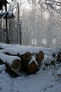 信用卡25萬逾期兩個(gè)月 信用卡10000逾期五個(gè)月