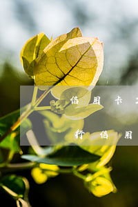 信用卡25還款日,晚兩天還算逾期不（青島銀行信用卡還款逾期5天）