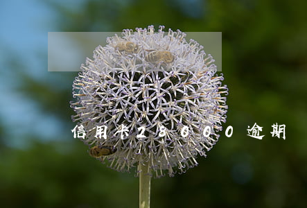 信用卡28000逾期會(huì)被起訴嗎
