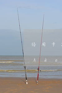 信用卡29日還款逾期2天(信用卡29號(hào)還款日期1號(hào)還款算逾期了嗎)