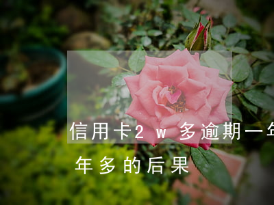 信用卡2w多逾期一年(欠信用卡两万逾期一年多的后果)