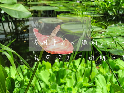 信用卡2w逾期2年可以協(xié)商嗎(信用卡2萬逾期一年)