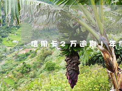 信用卡2万逾期1年（信用卡两年有一笔逾期）