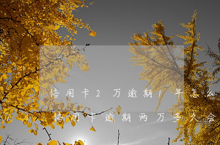 信用卡2万逾期1年怎么计算的(2020年信用卡逾期两万多久会被起诉)