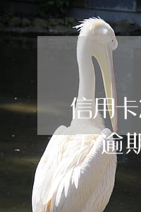 信用卡2万逾期3年会坐牢吗（欠信用卡20万逾期3年能出境吗）