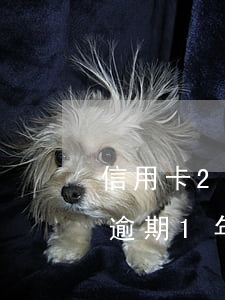 信用卡2万逾期一年要坐牢吗-信用卡2万逾期1年