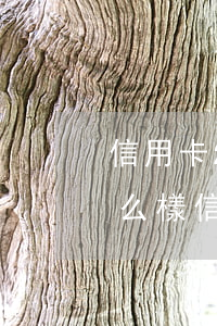 信用卡2個(gè)月不還會(huì)怎么樣(信用卡2個(gè)月不還會(huì)怎么樣)