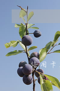 信用卡2個月不還怎么樣(信用卡兩個月沒還)