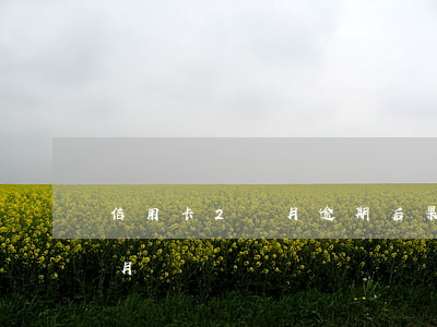信用卡2個月逾期后果（建行信用卡逾期二個月）