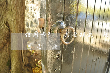 信用卡2個月逾期能貸款嗎(征信逾期2個月可以貸款嗎)